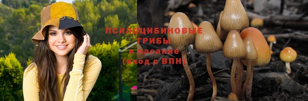 кокаин Богданович