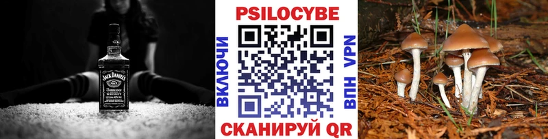 купить закладку  Дзержинск  Галлюциногенные грибы мицелий 
